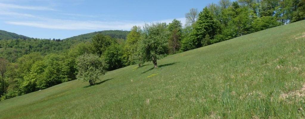 Bílé Karpaty, foto: Klára Čámská