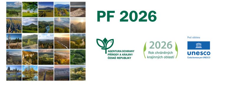 PF 2026.