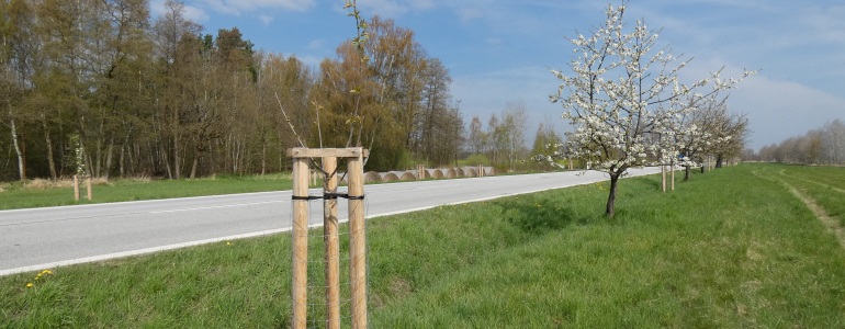 Foto: Klára Čámská