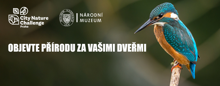Leták k akci City Nature Challange.