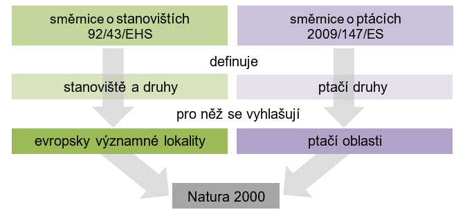 Graf směrnic.