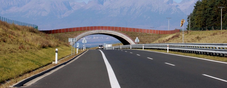 Ekodukt nad dálnicí v Popradě.