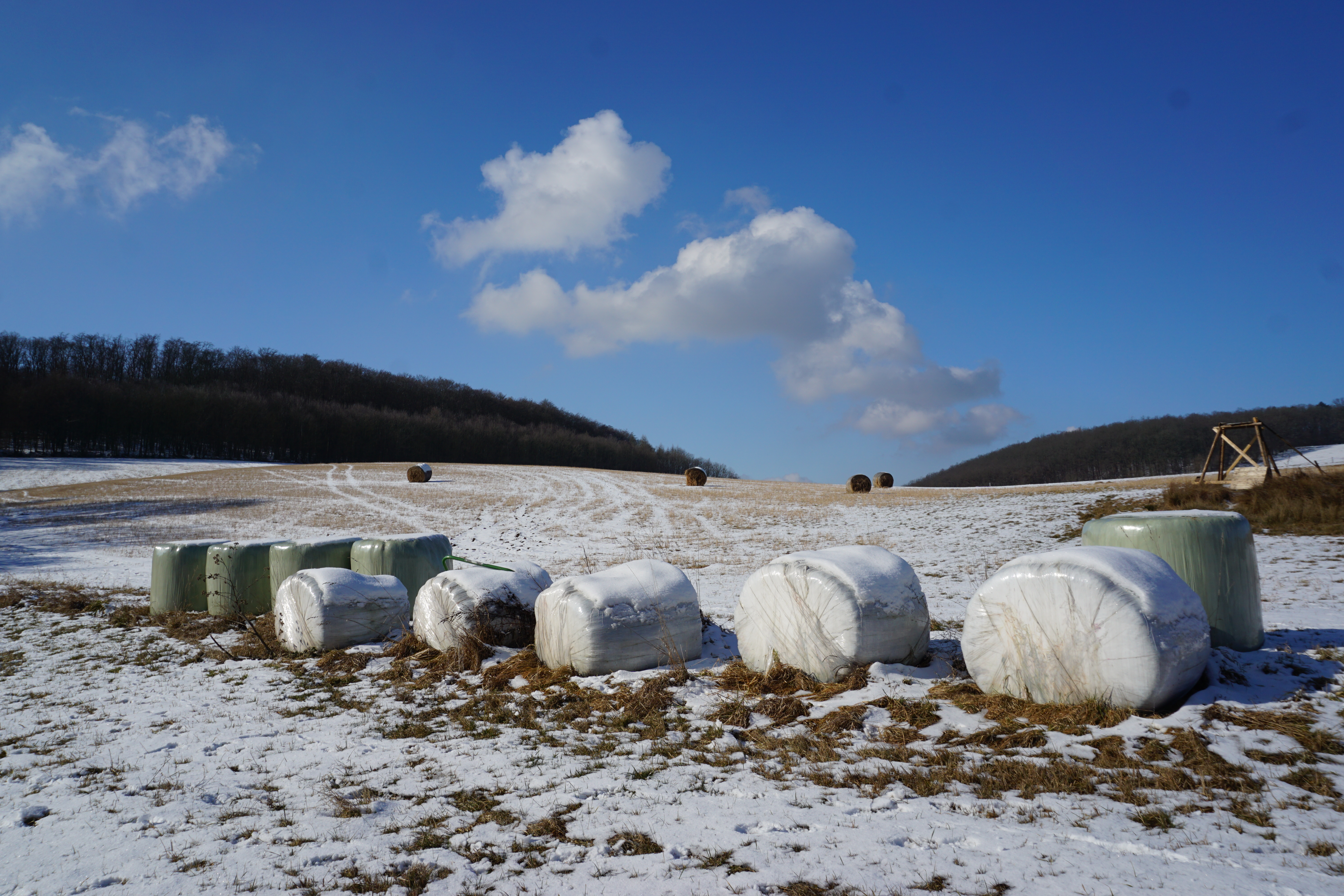 Zima na poli u Bubovic