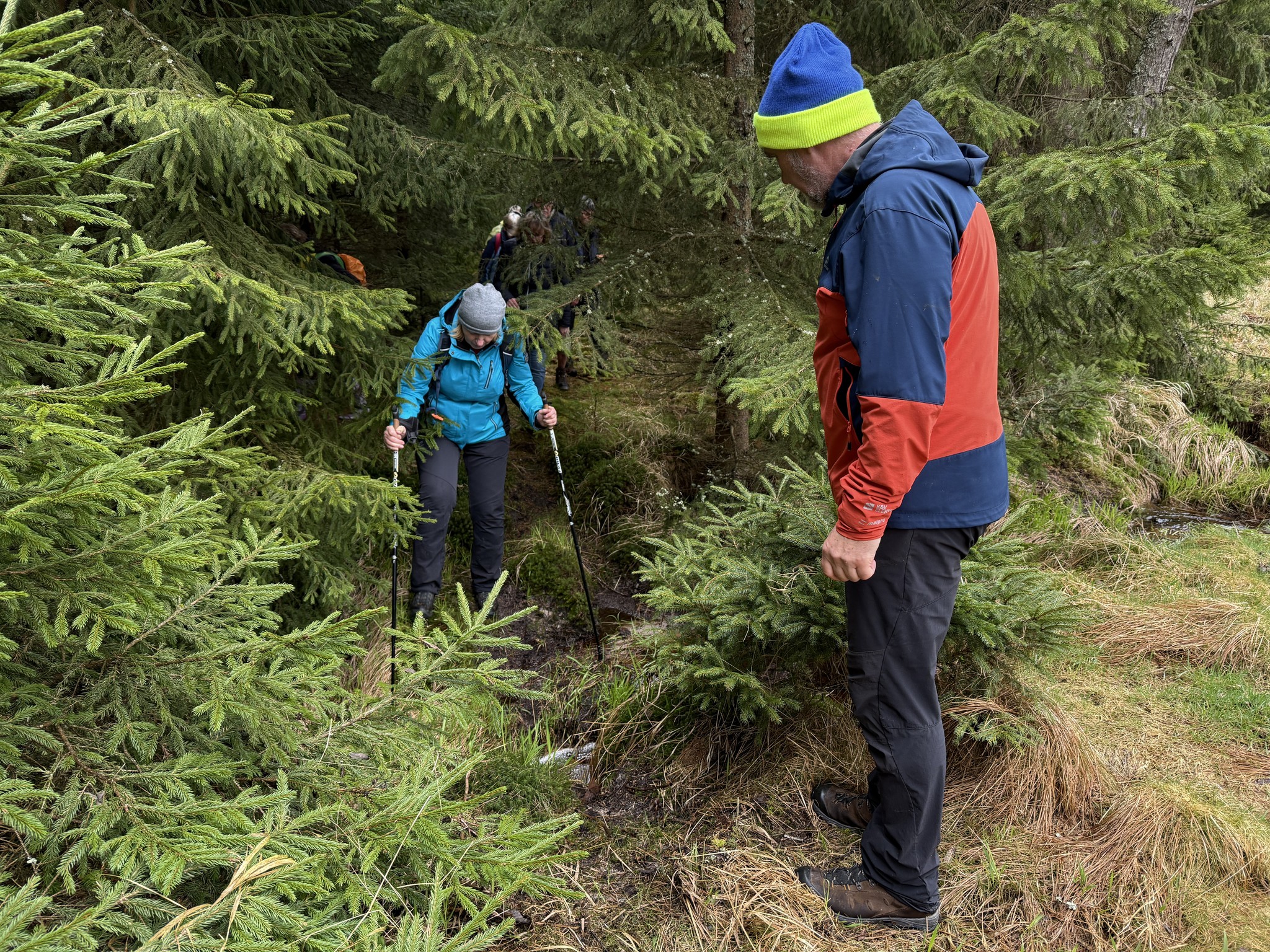 účastníci exkurze  jdou hustým lesním porostem