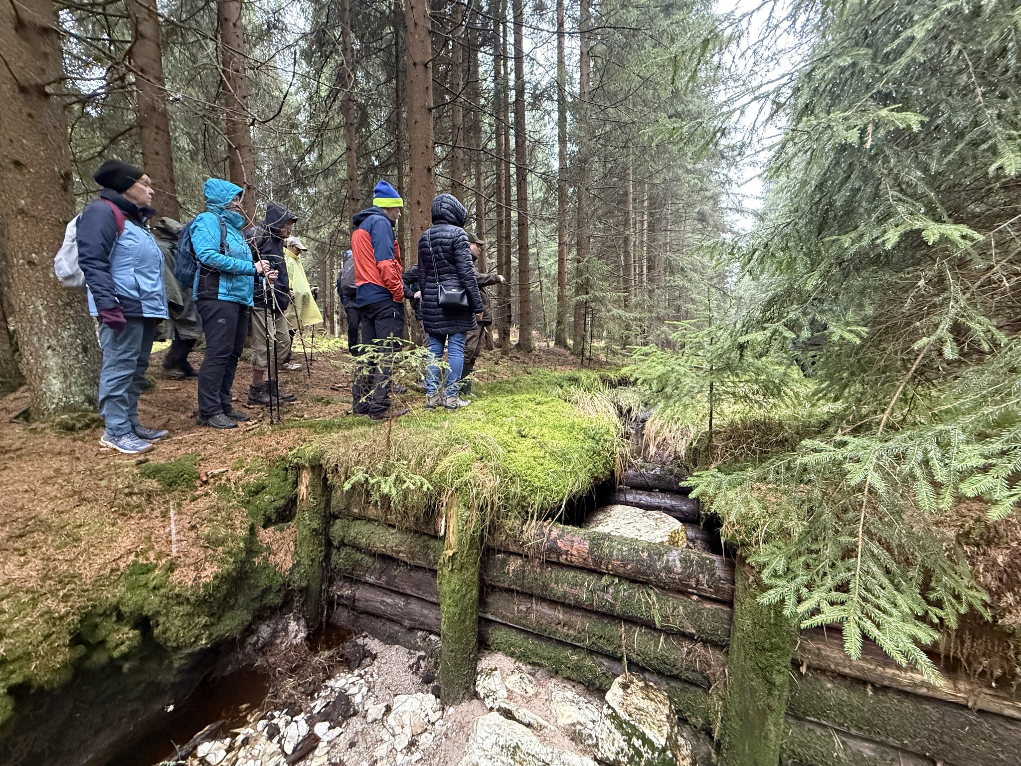 účastníci exkurze u dřevěné přehrážky v PR Pavlova Huť