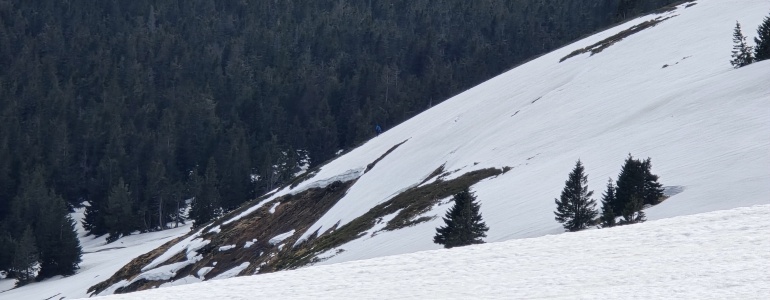 Lavinové pole v Jeseníkách.