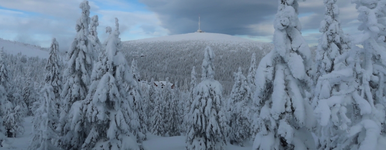 Národní přírodní rezervace Praděd