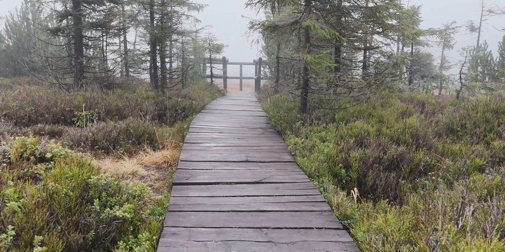 Typová opatření OP ŽP