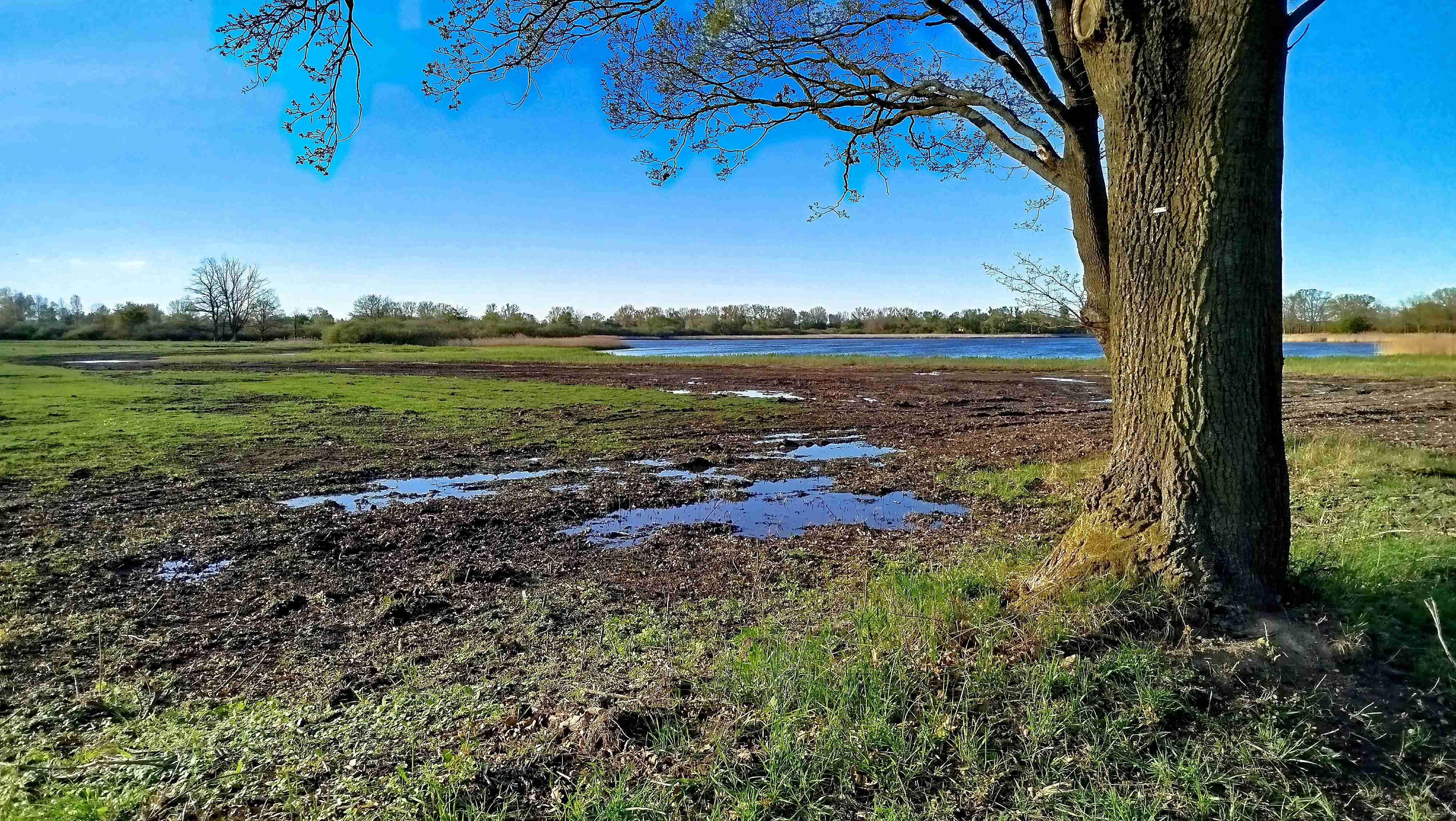 (Z. Neudertová): Brzké jaro na rybníce Služebný v roce 2025.