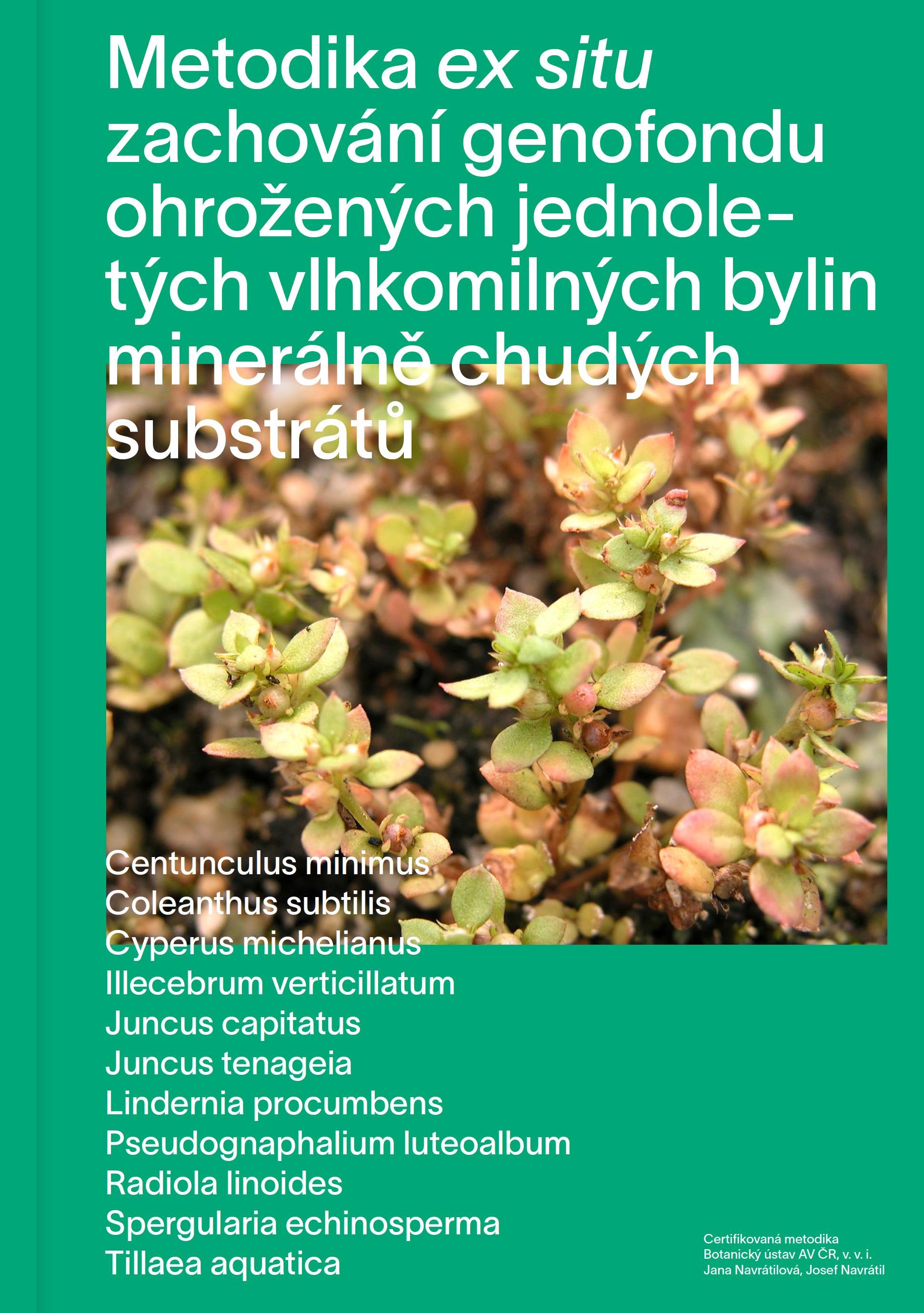 Metodika ex situ zachování genofondu ohrožených jednoletých vlhkomilných bylin minerálně chudých substrátů.