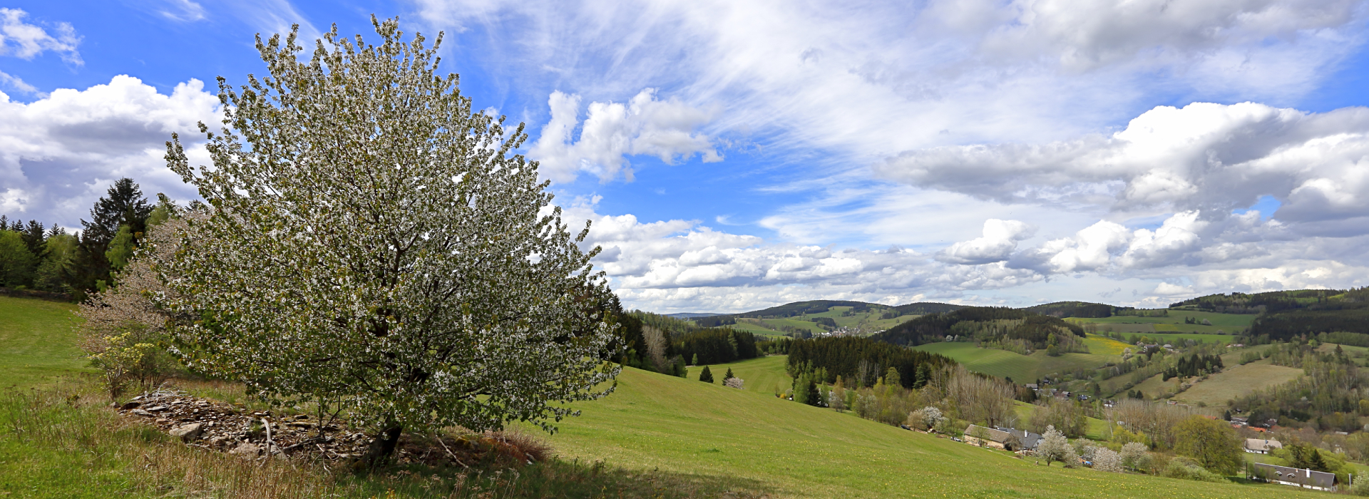 Široké pole, foto: Lubomír Dajč